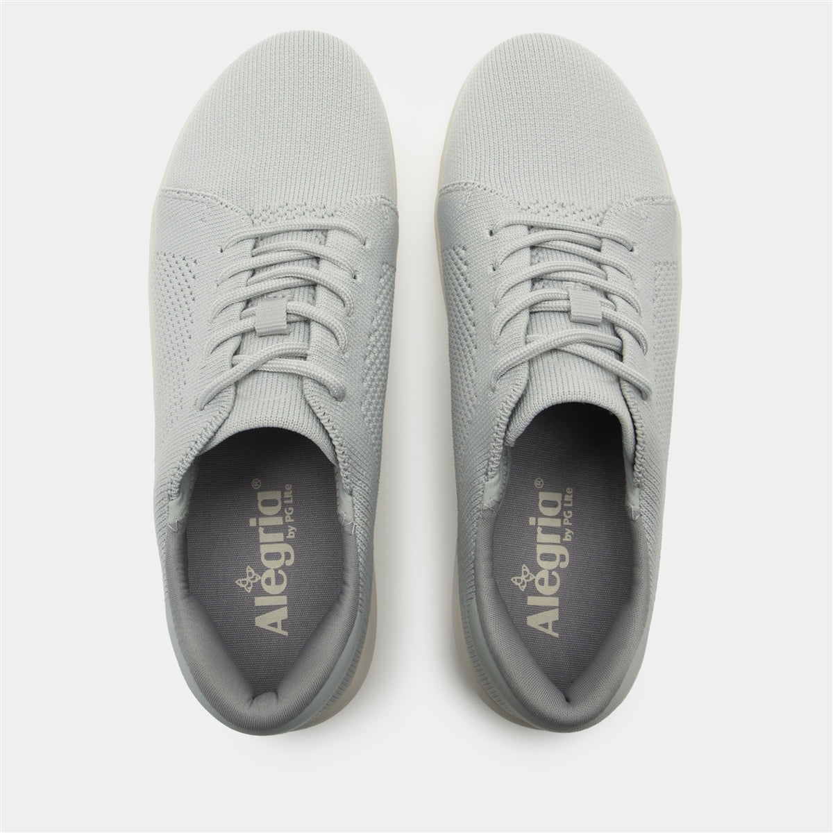 Alegria Dandie Dove