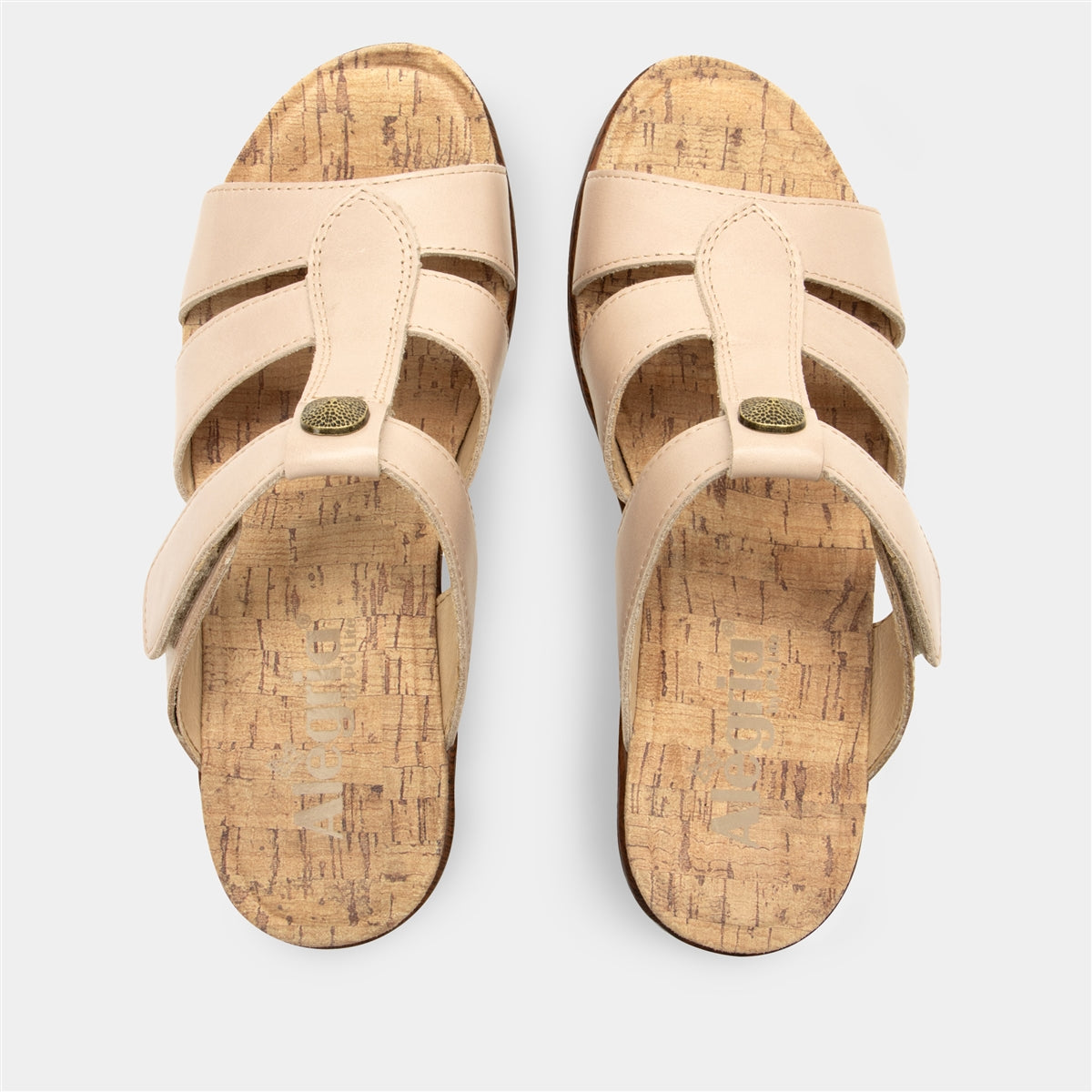 Alegria Shantal Oat