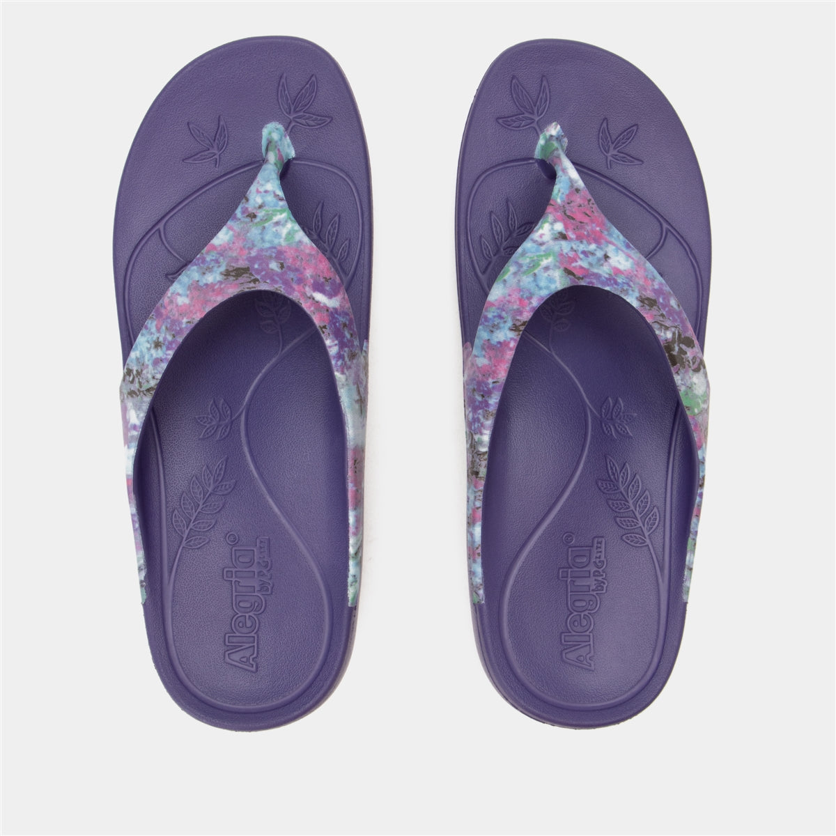 Alegria Ode Itchycoo Grey