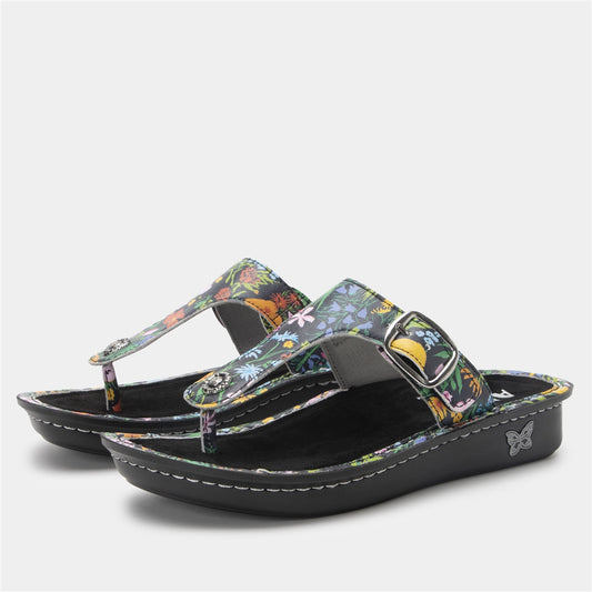 Alegria Vella Sweet Emotions