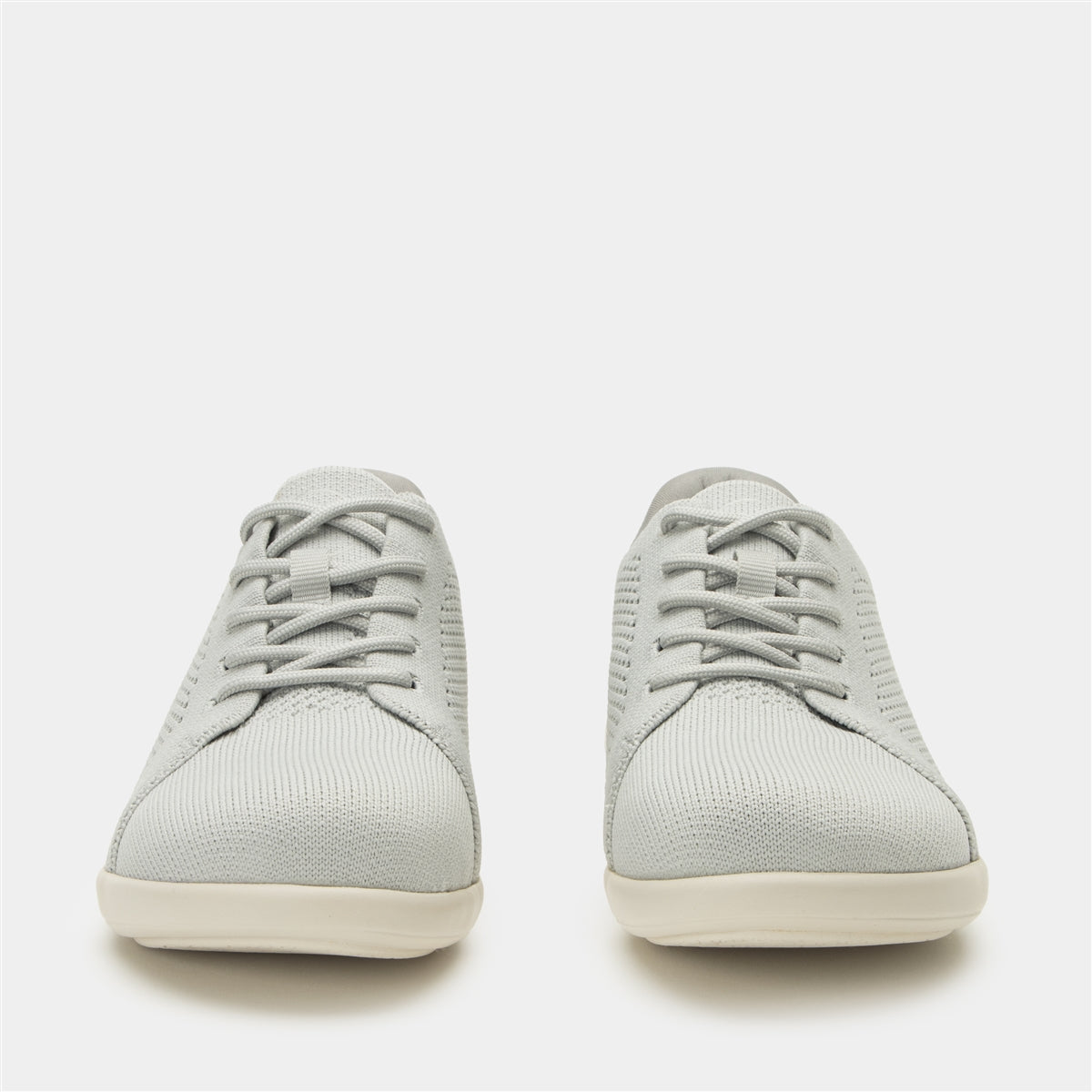 Alegria Dandie Dove