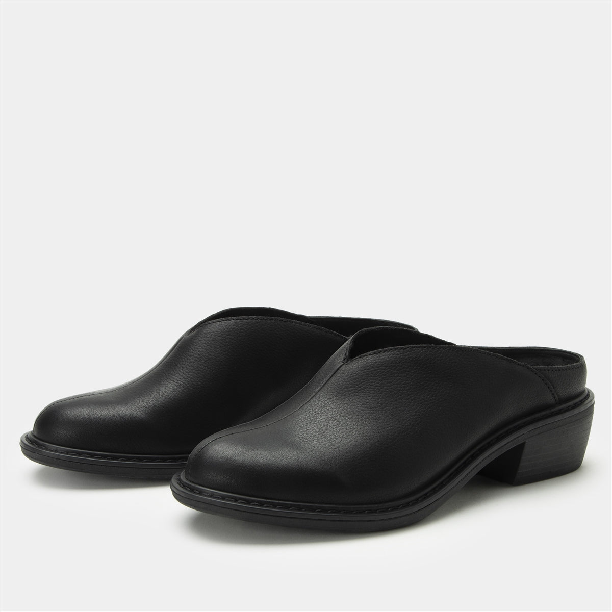 Alegria Michy Black Bird