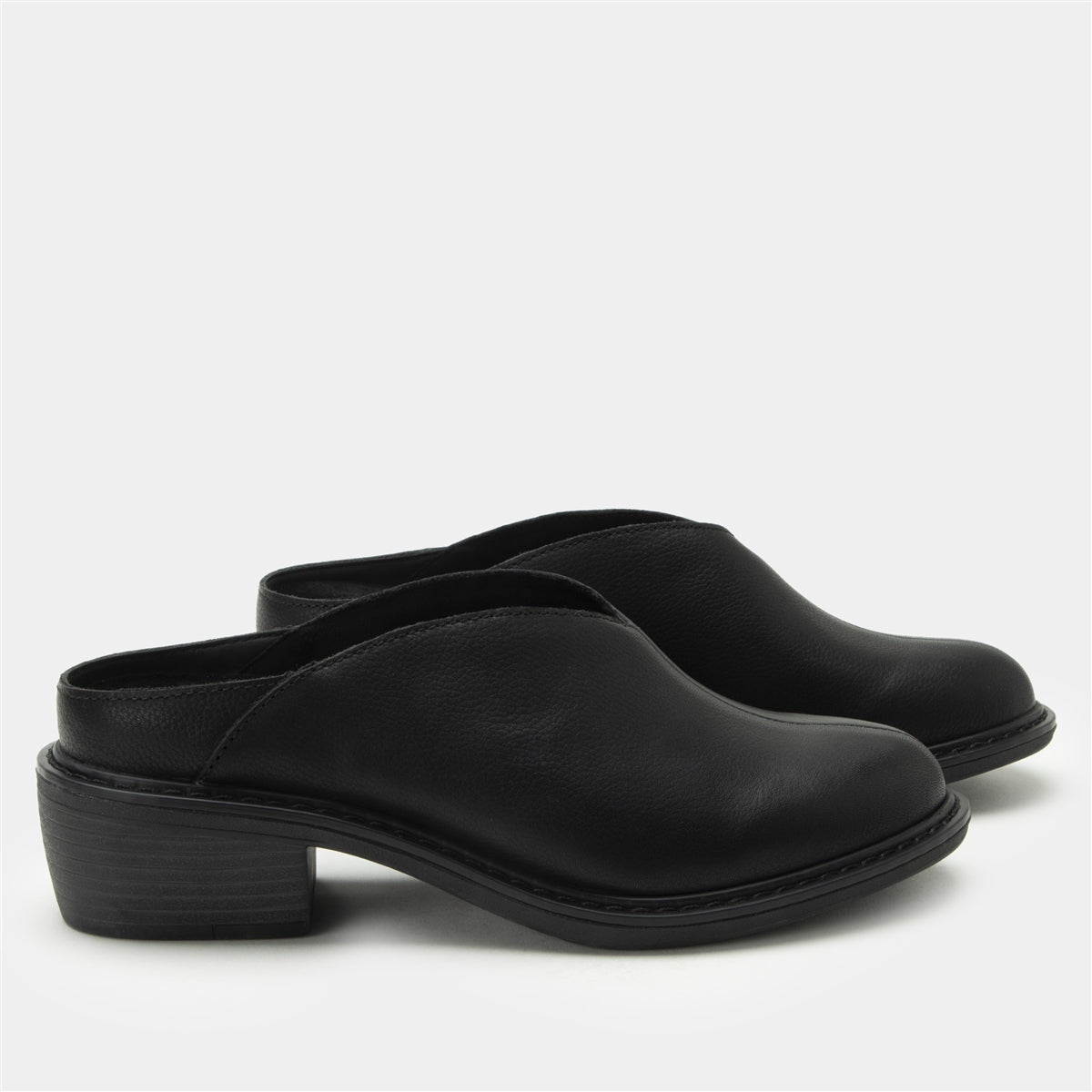 Alegria Michy Black Bird