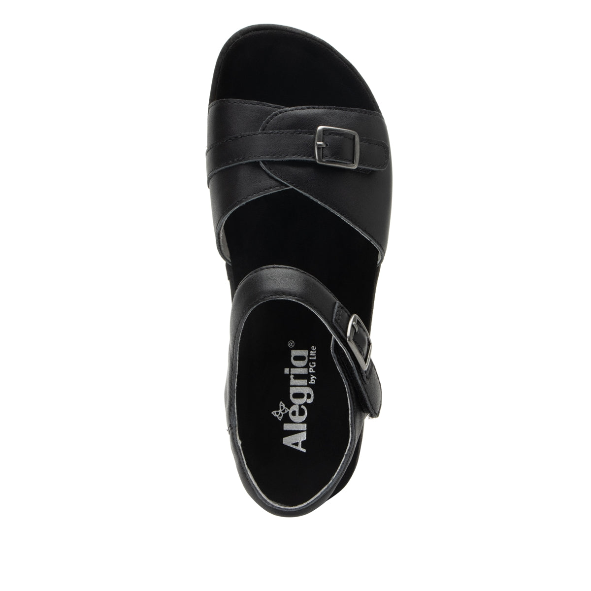 Alegria Maryn Coal