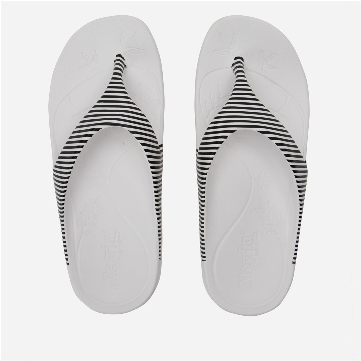 Alegria Ode Stripes