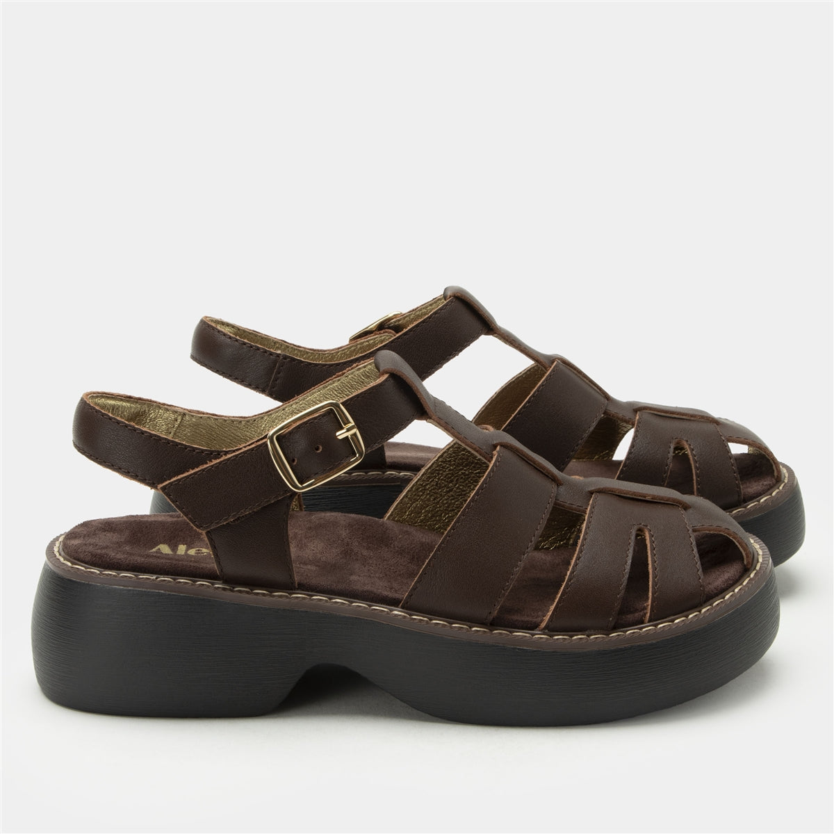 Ingrid Chocolate