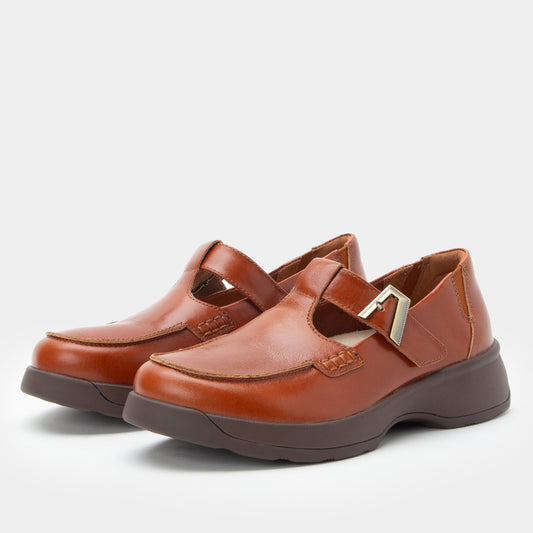 Pair of brown shoes with a strap on a light gray background