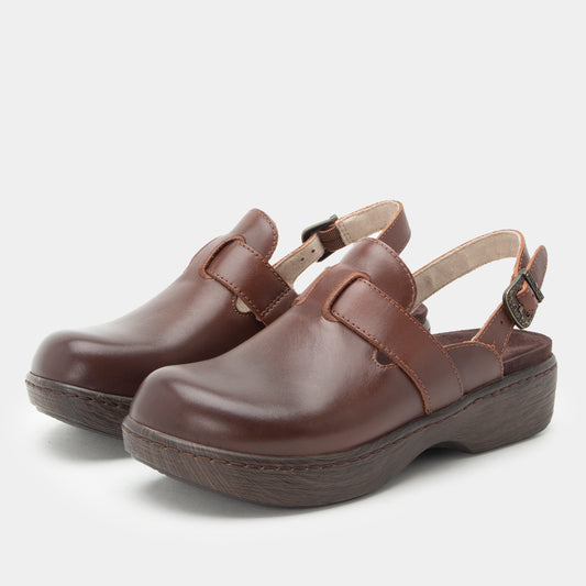 A pair of dark brown leather clogs with adjustable ankle straps and dark brown soles, photographed on a light gray background.