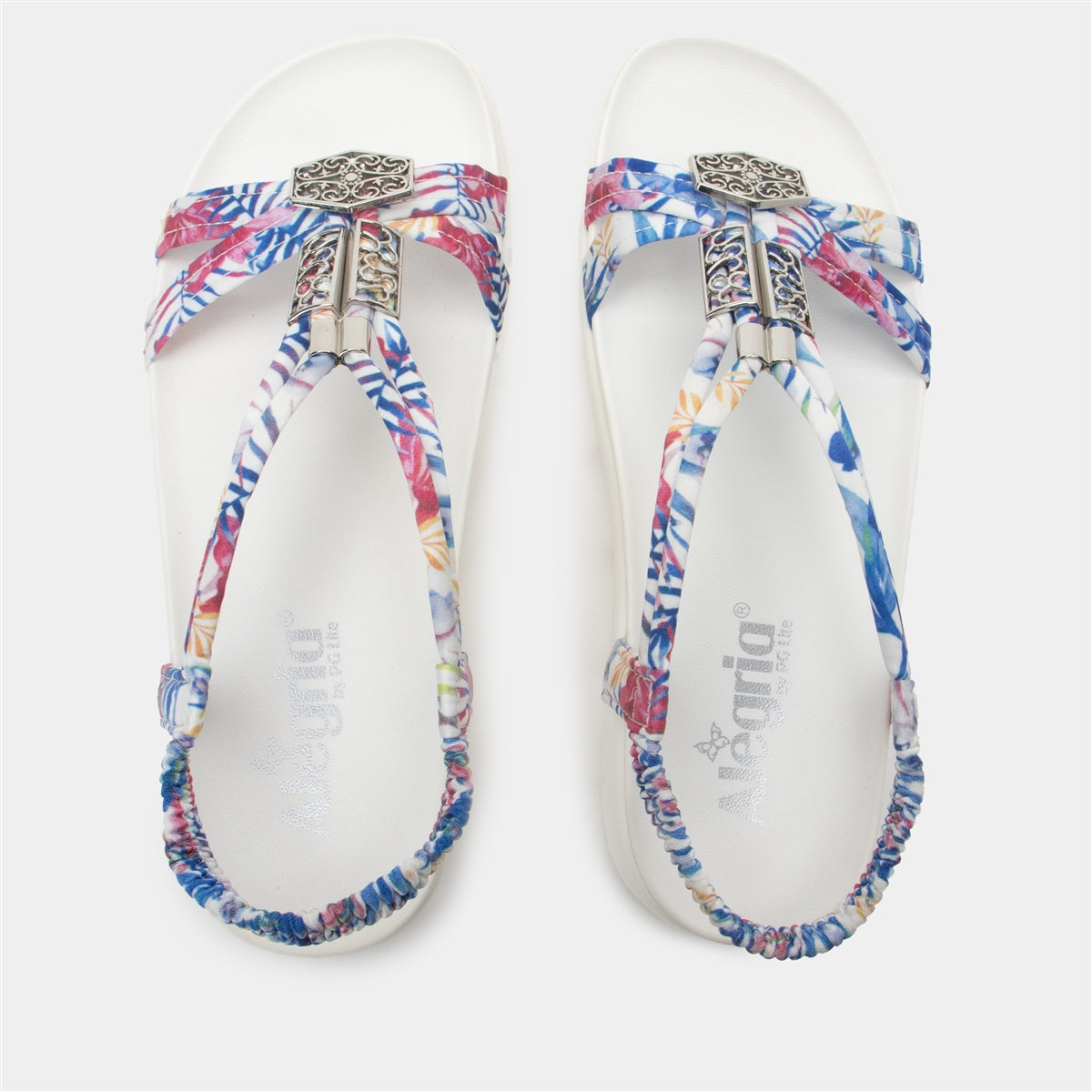 Alegria Roz Tropic