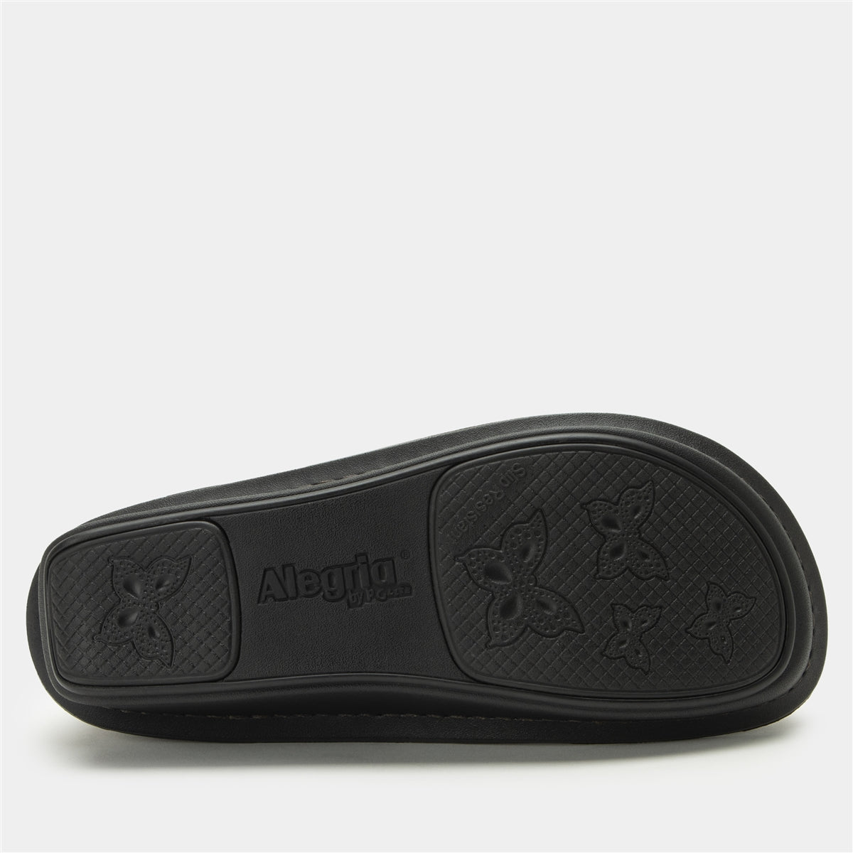 Alegria Paloma Stones Throw